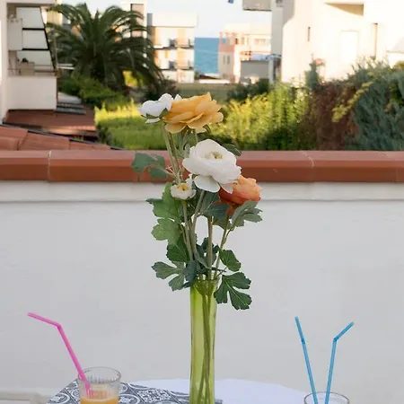 Yucca & *