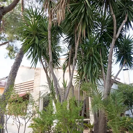 Yucca & Bed & Breakfast Trani